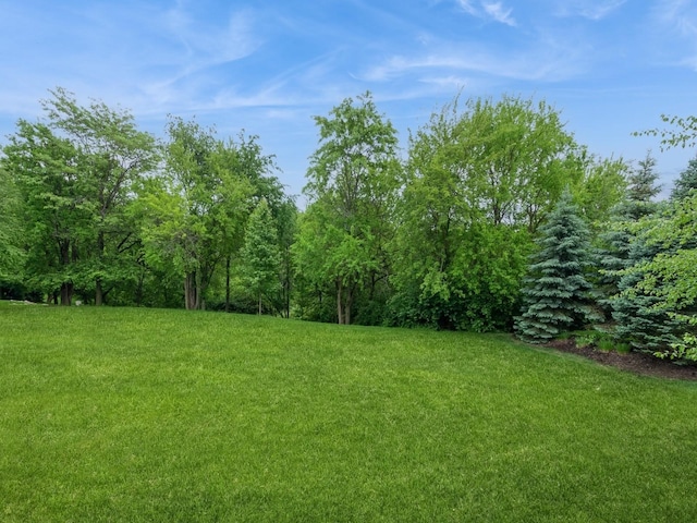 3123 162nd St, Urbandale, IA 50323 - view of grassy yard featuring a forest view