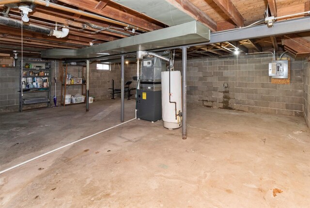 below grade area with electric panel and gas water heater