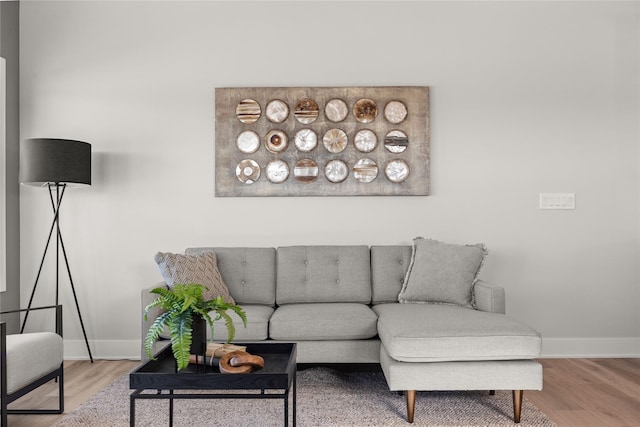 living room featuring wood-type flooring