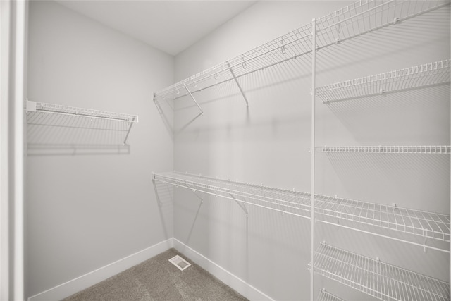 walk in closet featuring carpet floors