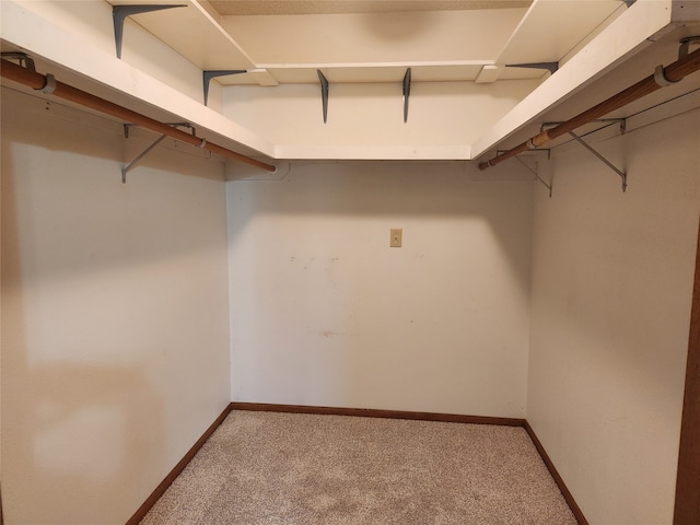 walk in closet featuring light carpet