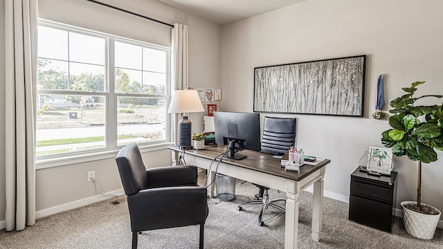 office featuring a healthy amount of sunlight and carpet