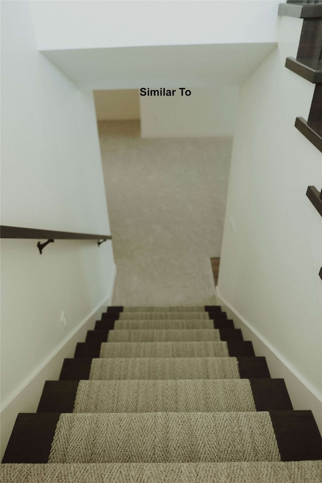 stairs featuring carpet flooring