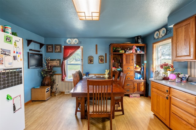 dining area with light hardwood / wood-style floors, a textured ceiling, and a healthy amount of sunlight