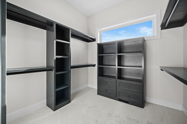 spacious closet with carpet