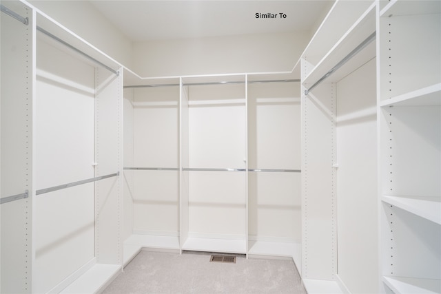 spacious closet with carpet flooring