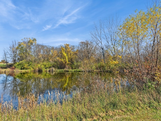 view of water feature