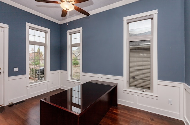 office space with dark hardwood / wood-style flooring, ceiling fan, and crown molding