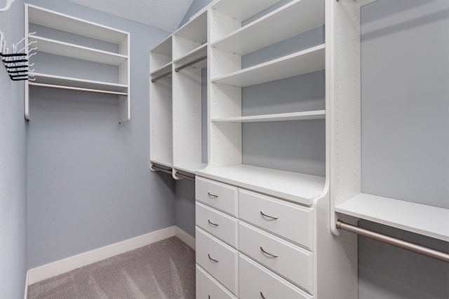 walk in closet featuring carpet