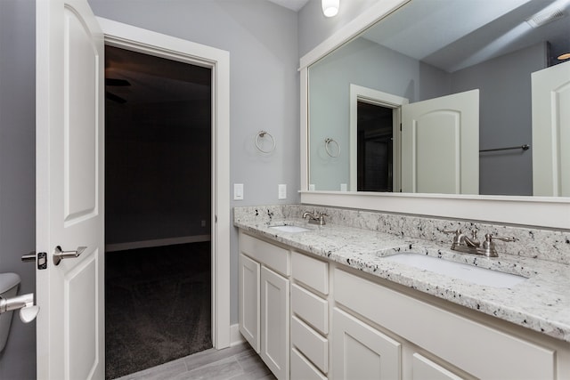 bathroom featuring hardwood / wood-style floors and vanity