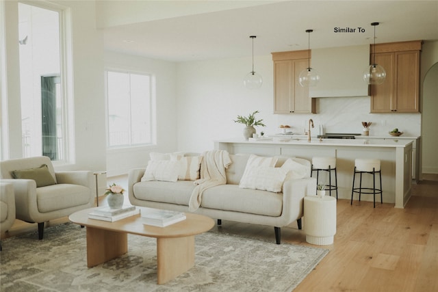 living room featuring light hardwood / wood-style flooring