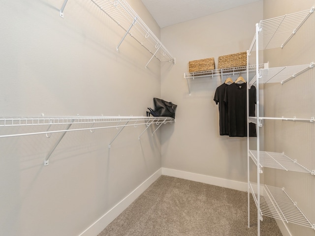 spacious closet featuring carpet flooring