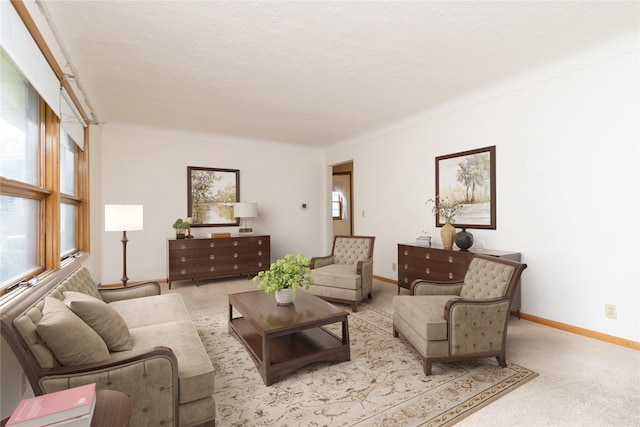 carpeted living room featuring plenty of natural light