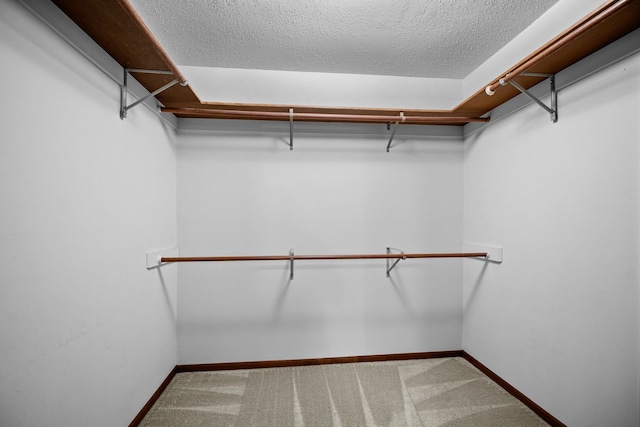 spacious closet featuring carpet floors