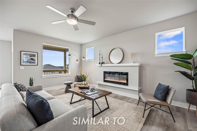 living room with hardwood / wood-style floors and ceiling fan