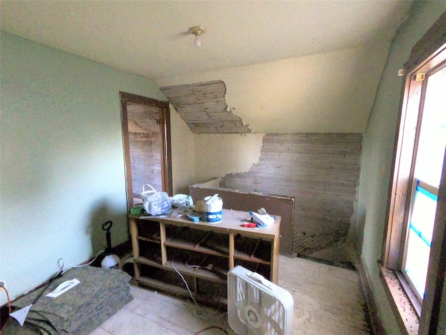 bathroom featuring vaulted ceiling and a healthy amount of sunlight