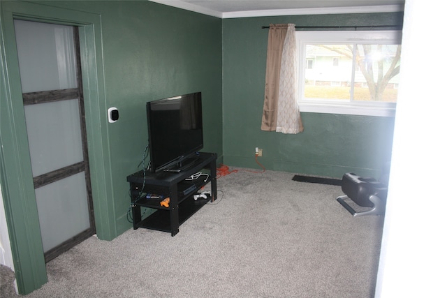 interior space featuring carpet flooring and ornamental molding