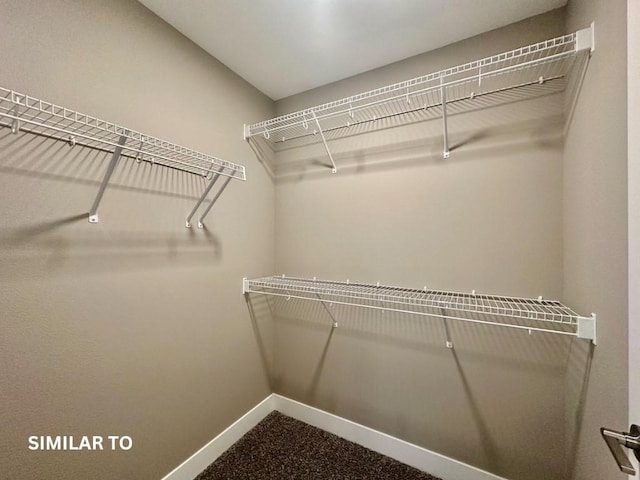 view of spacious closet