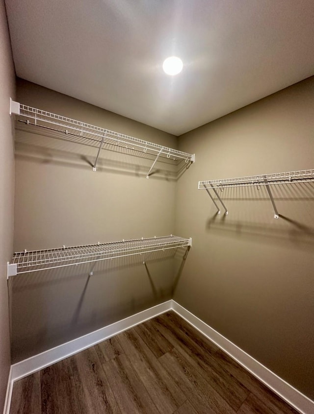 spacious closet with wood finished floors