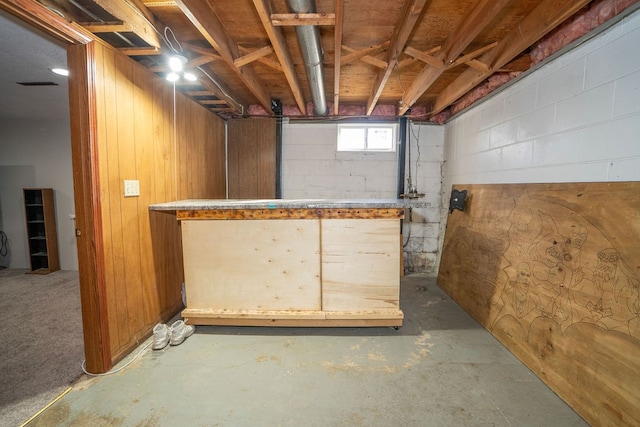 basement with wooden walls