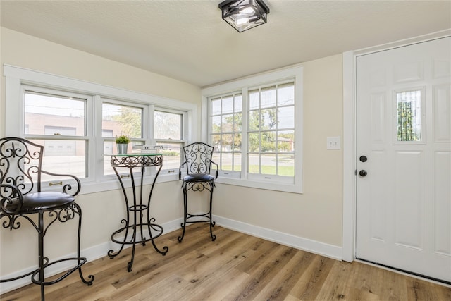 interior space with light hardwood / wood-style floors, a healthy amount of sunlight, and a textured ceiling