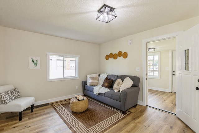 living room featuring hardwood / wood-style floors and a textured ceiling