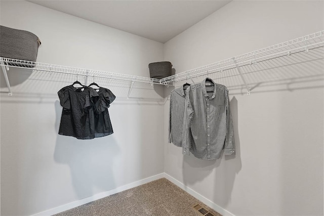 spacious closet featuring carpet floors and visible vents