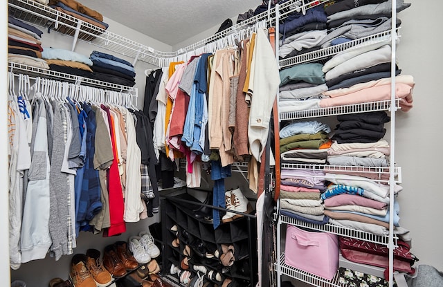 view of spacious closet