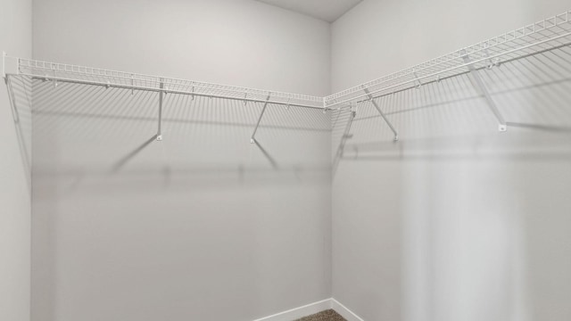 walk in closet featuring carpet flooring