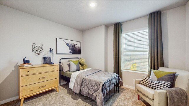 1007 Daisy Ln, Waukee, IA 50263 - bedroom with light carpet