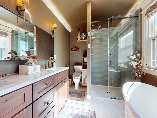 bathroom featuring tile patterned flooring, vanity, a healthy amount of sunlight, and a shower with door