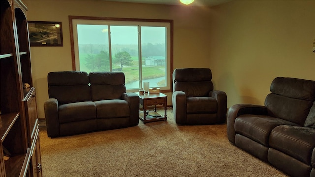 15893 Illinois St, Indianola, IA 50125 - photo 8