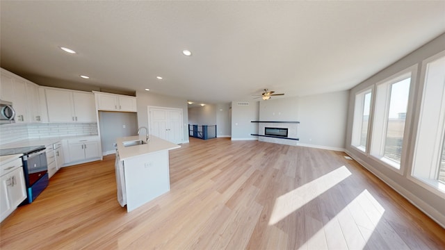 kitchen featuring stainless steel microwave, light wood-type flooring, electric stove, a glass covered fireplace, and a sink