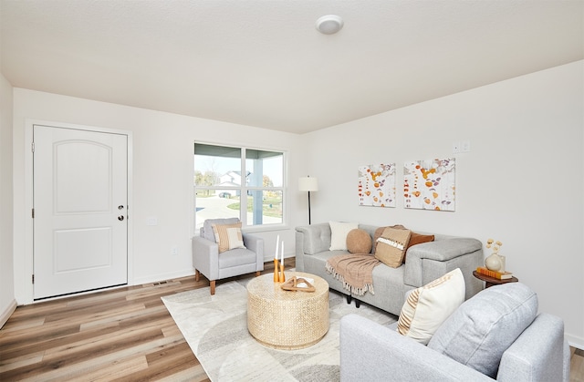 living room featuring hardwood / wood-style flooring