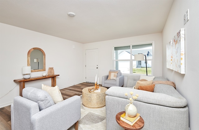 living room featuring hardwood / wood-style floors