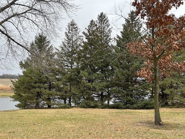 view of landscape