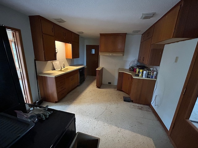 kitchen with sink and a textured ceiling