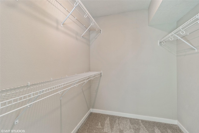 spacious closet featuring light colored carpet