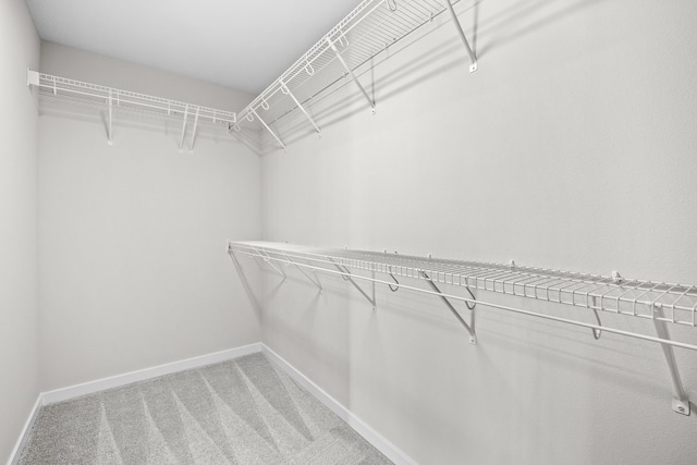 walk in closet featuring carpet flooring