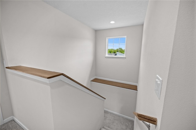 stairway featuring carpet and a textured ceiling