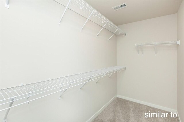 spacious closet with carpet flooring