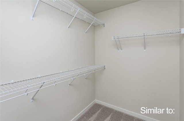 spacious closet with carpet floors