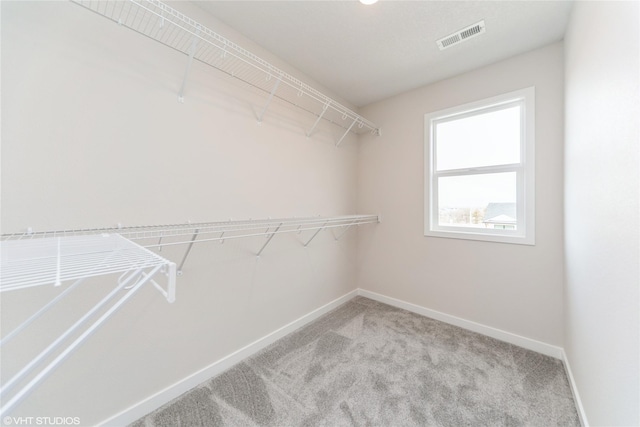 walk in closet featuring carpet and visible vents