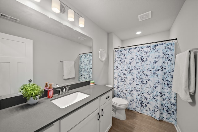 bathroom featuring wood-type flooring, vanity, toilet, and curtained shower