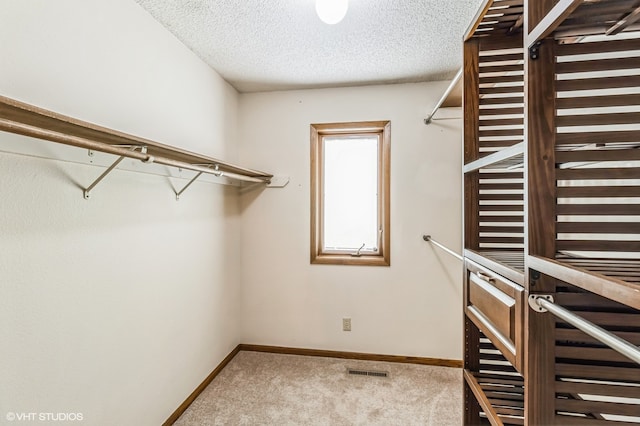 walk in closet with light carpet