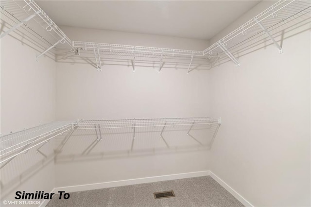 spacious closet with carpet