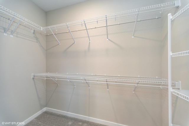 2806 22nd St SW, Altoona, IA 50009 - spacious closet with carpet floors