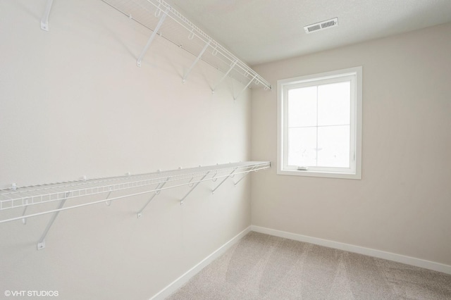 spacious closet featuring carpet flooring and visible vents