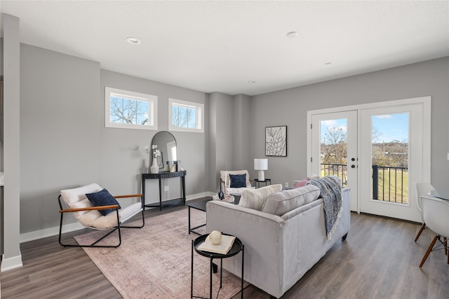 living room featuring french doors and hardwood / wood-style flooring