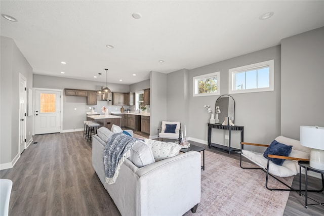 living room featuring hardwood / wood-style floors